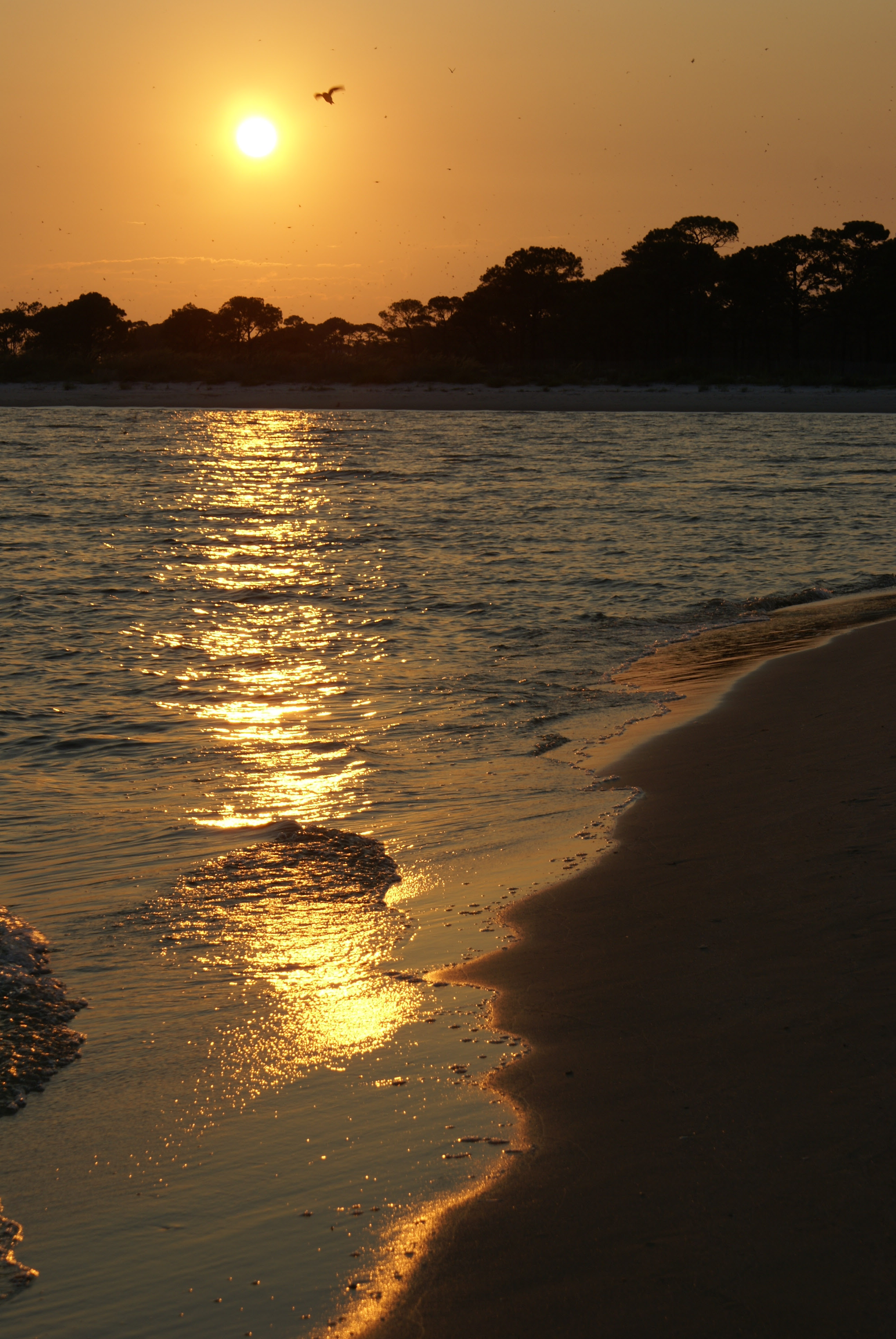 DIsunset-1.jpg